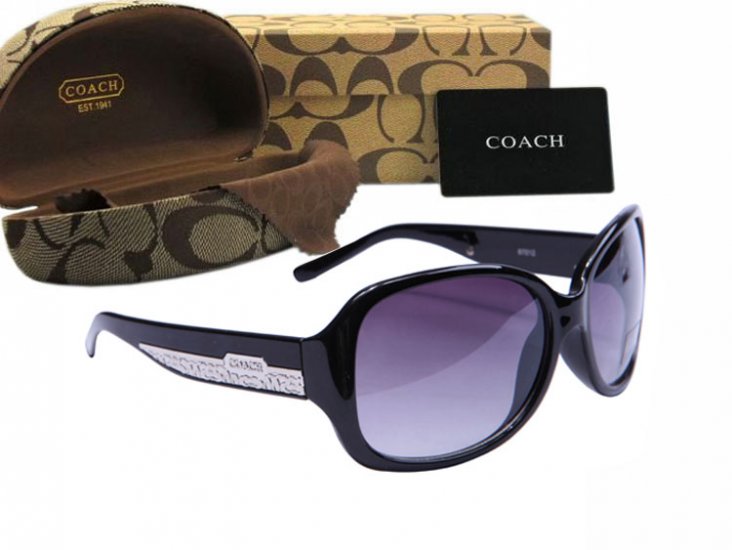 Coach Sunglasses 8018 | Women